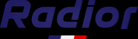 Benjamin Radior Bike GIF
