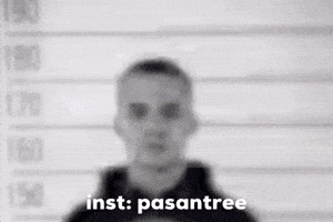 Pasantree GIF