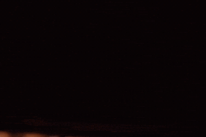 Honey Singh Yoyo GIF
