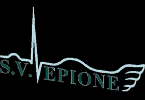 s.v.epione GIF