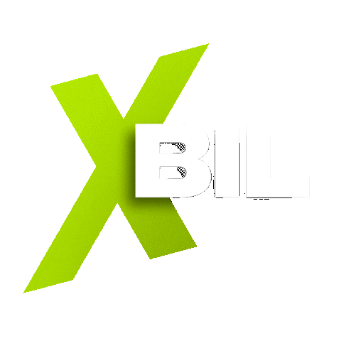 xbilsuomi Sticker
