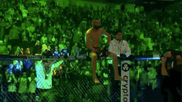 Sport Watching GIF by UFC