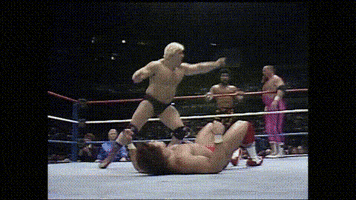 Wwf GIF