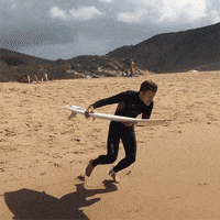 Action Sports Surfing GIF by World Surf League