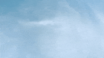 wig GIF by Laff Mobb’s Laff Tracks