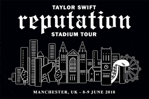 Reputation Stadium Tour Manchester GIF by Taylor Swift