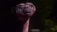 Et Un Dauphin Gifs Get The Best Gif On Giphy Et Un Dauphin Gifs Get The Best Gif On Giphy