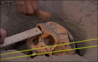 Arrested Development gif. At an archaeological dig site with what resembles a human skull, one hand gently brushes, another measures with a ruler, and a third casually bashes the forehead with a hammer.