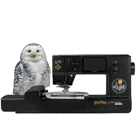 Bernette Sticker by BERNINA - France