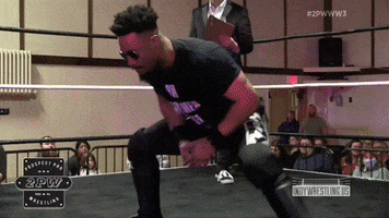 Pittsburgh GIF