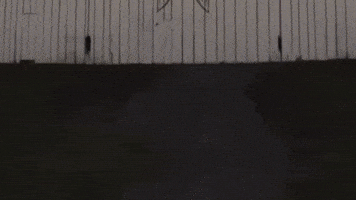 Cadillac Racing GIF by Cadillac