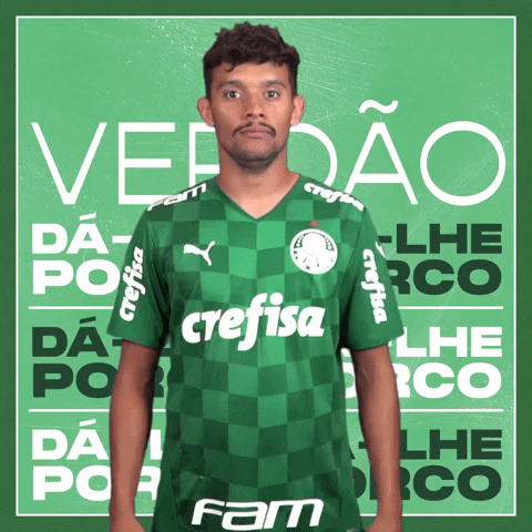 Gustavo Scarpa Soccer GIF by SE Palmeiras