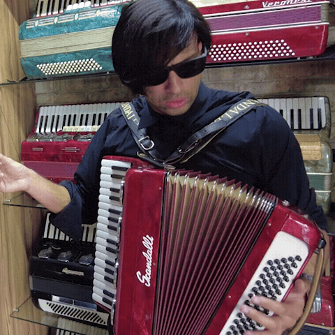 Sanfona Sanfoneiro GIF