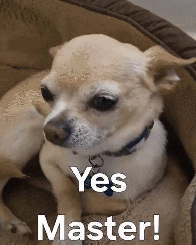 Dog Yes GIF