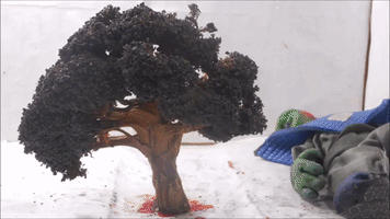 Stop Motion Animation GIF