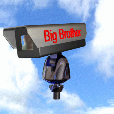Big Brother Is Watching You GIF