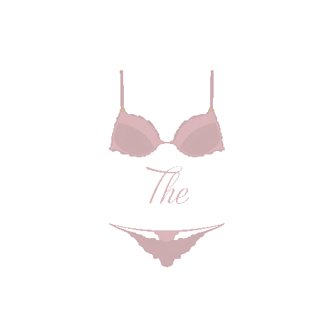 Lingerie Sticker by The Little Drawer