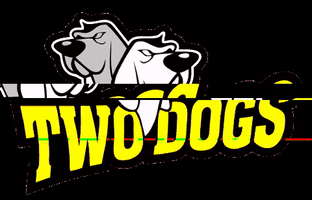 Dogs Fazendo Amigos GIF