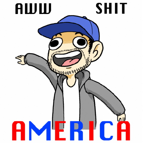 excited america GIF