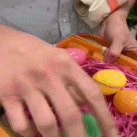 easter eggs counting GIF by evite