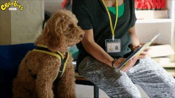 Dog What GIF by CBeebies HQ