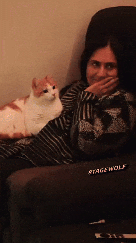 Cat What You Looking At GIF by STAGEWOLF