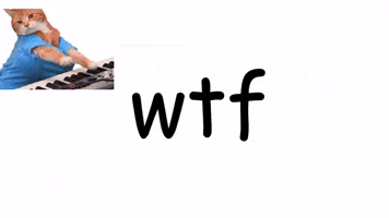 Wtf GIF