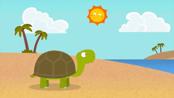 Beach Yes GIF