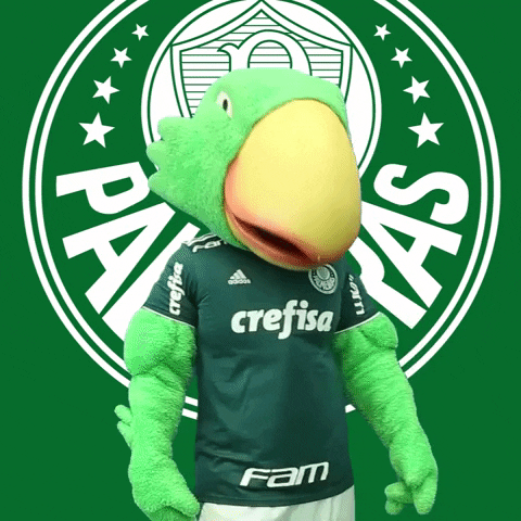wake up watch GIF by SE Palmeiras