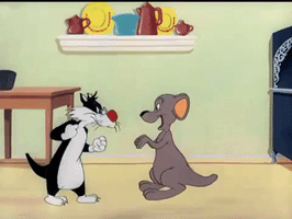 Hippety Hopper Boxing GIF