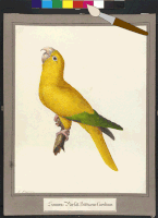 200.gif?cid=fc005b0852b49074cc4765610382c8a7968971389beb757e&rid=200.gif&ct=g