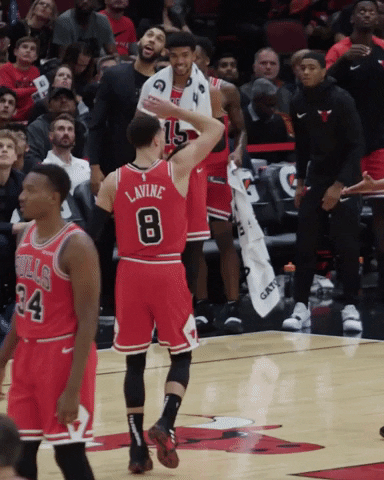 Zach Lavine Nba GIF by Chicago Bulls - Find & Share on GIPHY