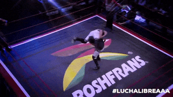 wrestling twitch GIF by Lucha Libre AAA