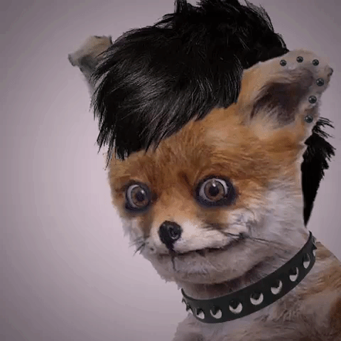 Angry Go Away GIF by Adele Morse - Stoned Fox Official