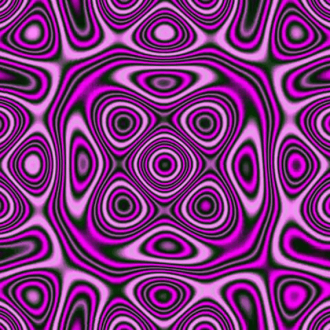 giphy.gif