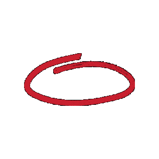 Southeast Missouri State University Sticker by SEMissouriState