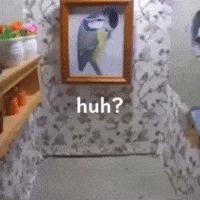 Huh?