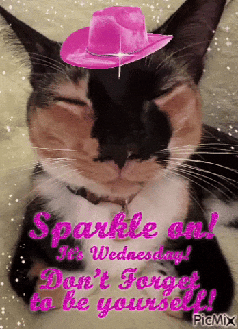Wednesday Sparkle On GIF