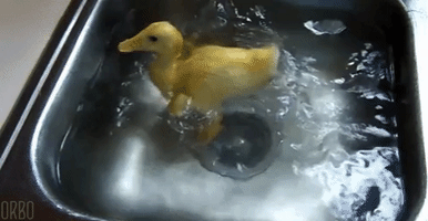 perfect loops Ducking GIF