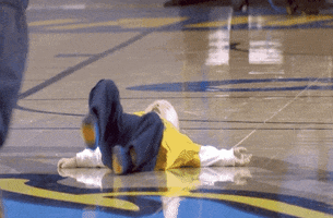 sad ncaa sports GIF by Delaware Blue Hens