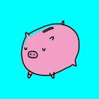 friday night win GIF by Kochstrasse&trade;