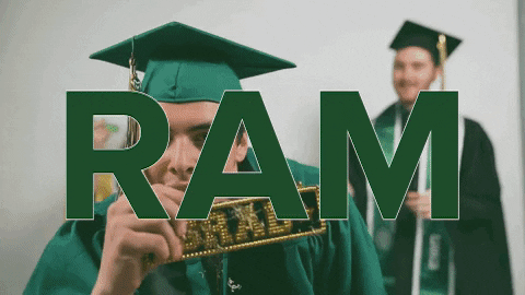 Csu Rams Confetti GIF by Colorado State University - Find & Share on GIPHY