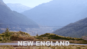 Music Video Crybaby GIF by Tracyanne & Danny