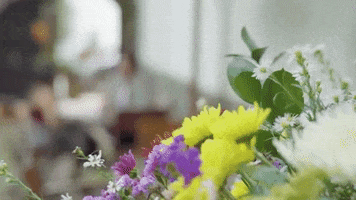 couple date GIF by Nu Skin