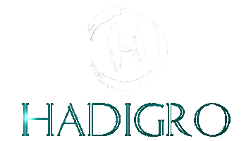 HADI GRO Sticker