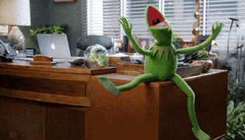 Kermit Excited GIFs - Find & Share on GIPHY