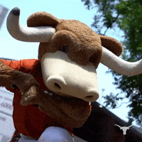 College World Series Mascot GIF by Texas Longhorns