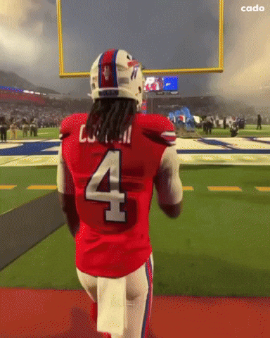 Buffalo Bills Nfl GIF