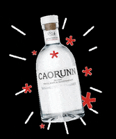 gin and tonic GIF by Caorunn Gin
