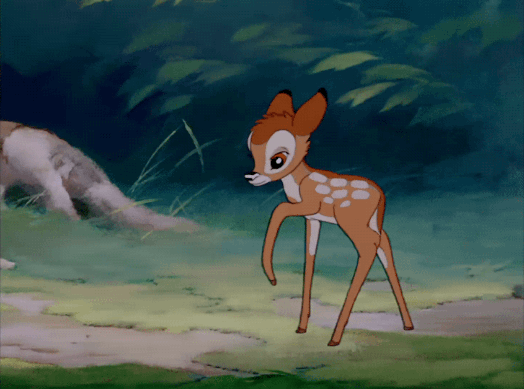 Classic Disney Deer GIF by Disney - Find & Share on GIPHY